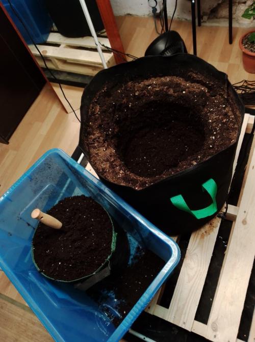 100l/26gal RQS Biscotti Experiment. Week 6