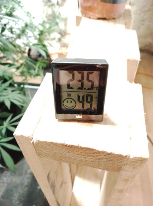 100l/26gal RQS Biscotti Experiment. Week 13
