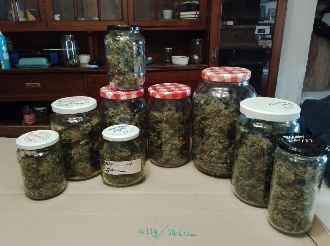 100l/26gal RQS Biscotti Experiment. Week 20