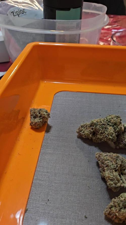 1st time hydro grow