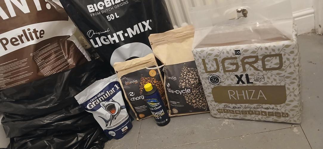 00 Seeds - Mimosa & Gelato Mints. Week 3 - Soil mix 
