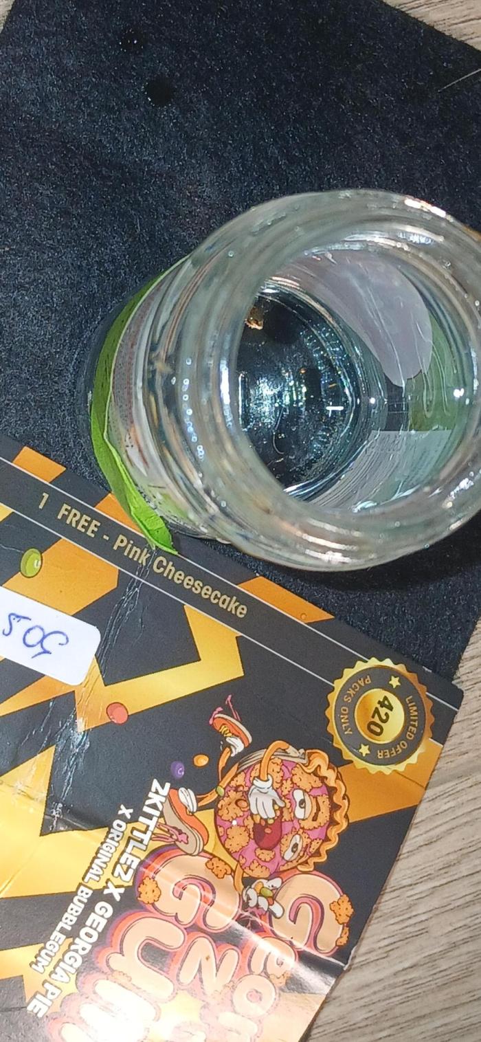 THSeeds - Pink Cheesecake Freebie. Week 0 - Day 1 in water.