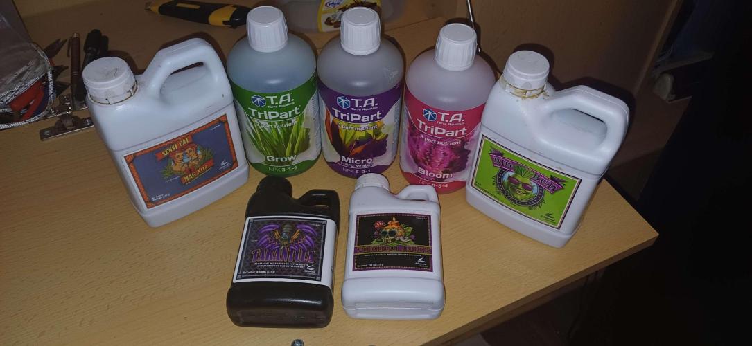 Growerské Kaliho okénko. Week 0