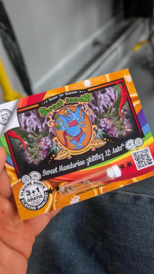 my first ladys. Week 0