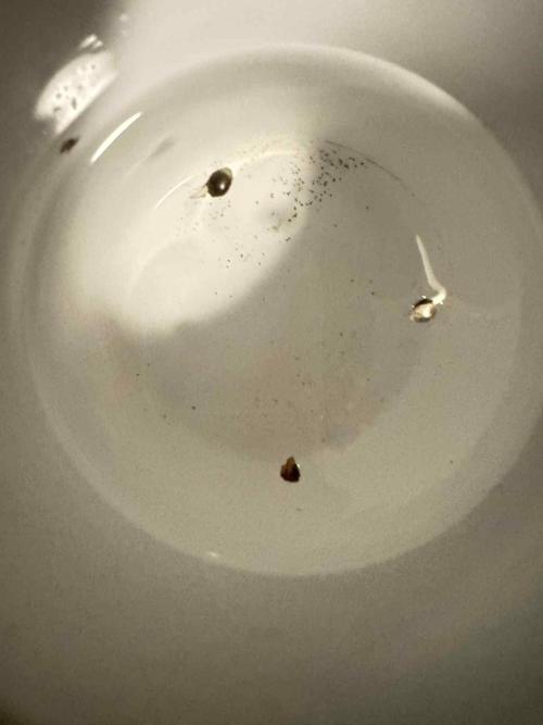 First Indoor. Week 0