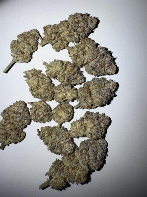 The Jawbreaker. Week 9