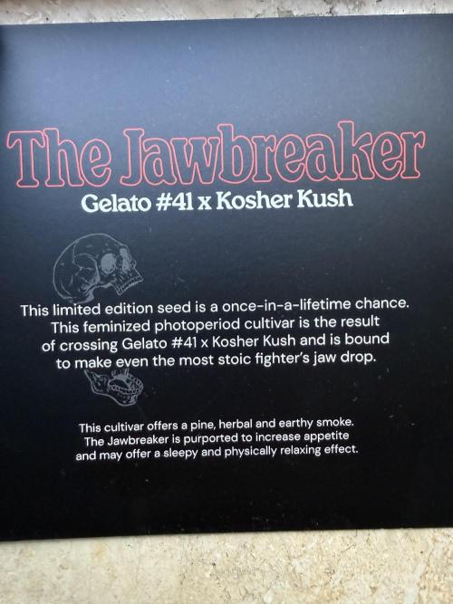 Jawbreaker die zweite. Week 0