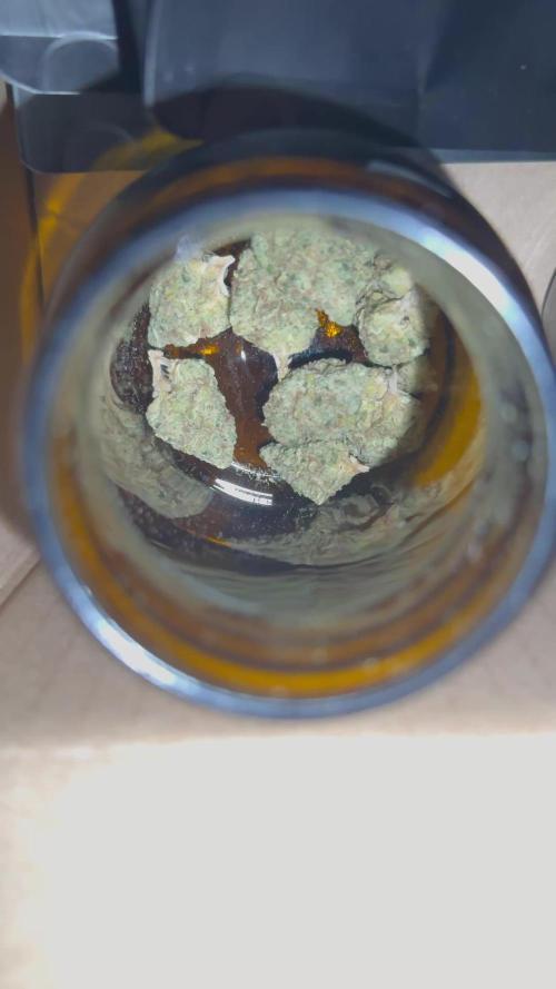 Skunk XL + Special Kush