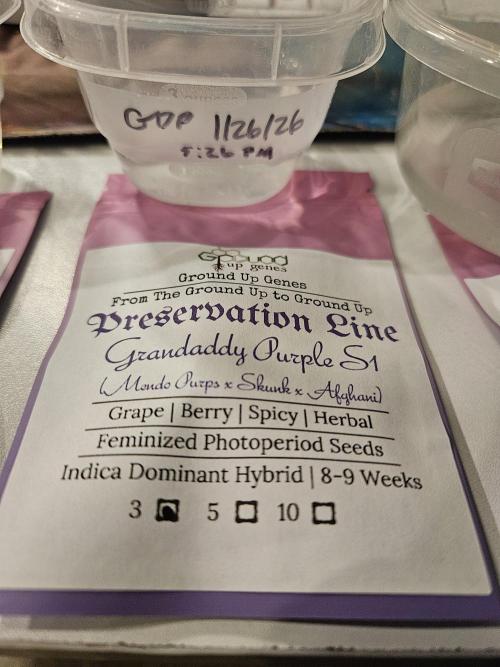 4 strains in a 4x2. Week 0