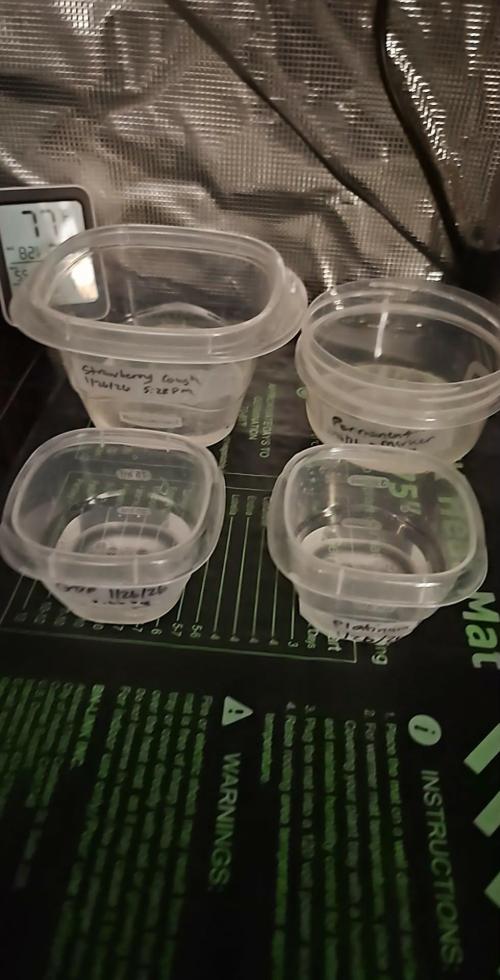 4 strains in a 4x2. Week 0