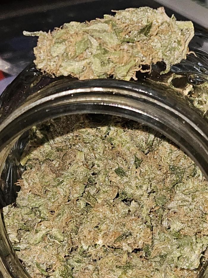 10 strains in a 2x4. Week 14