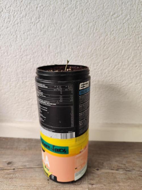 Growboys Diary Nr 2.. Week 0