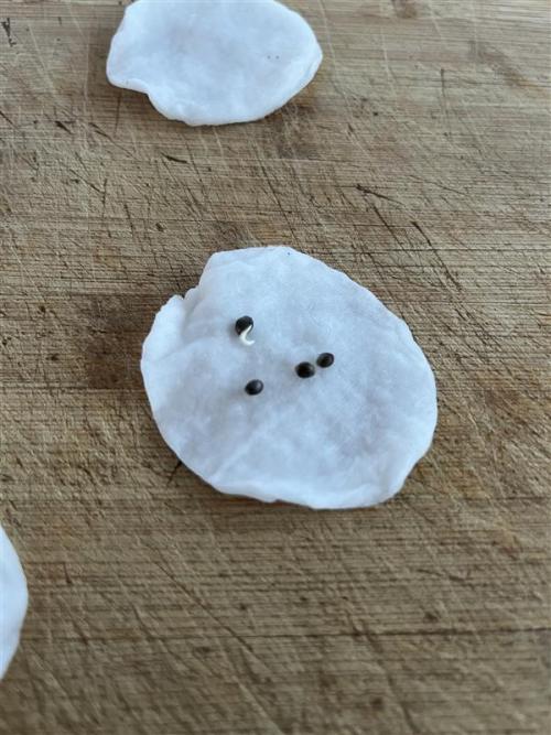 První kolo, snad bude aspoň na brk. Week 0 - první Criminal venku