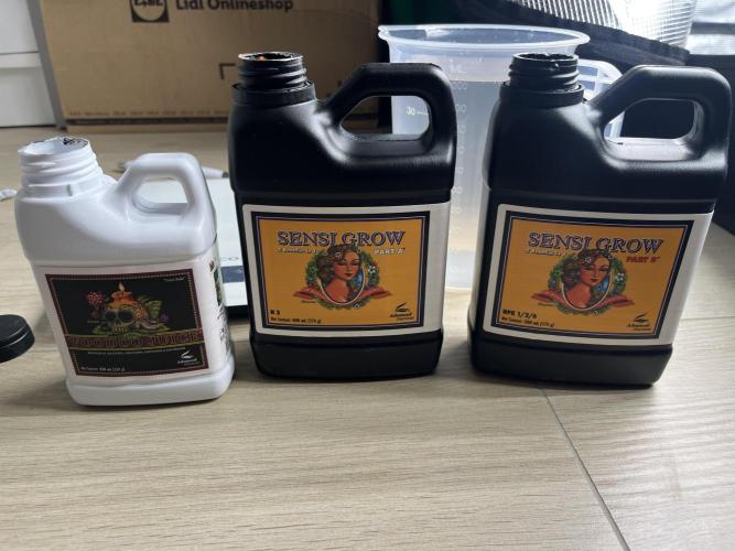 První kolo. Week 1 - první dobrůtky