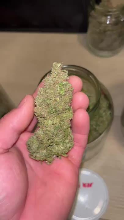 DP second grow