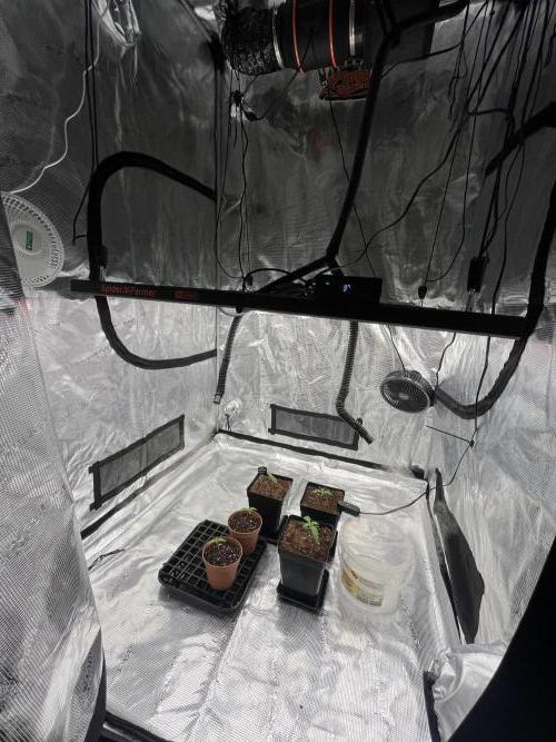 První kolo. Week 1 - full set