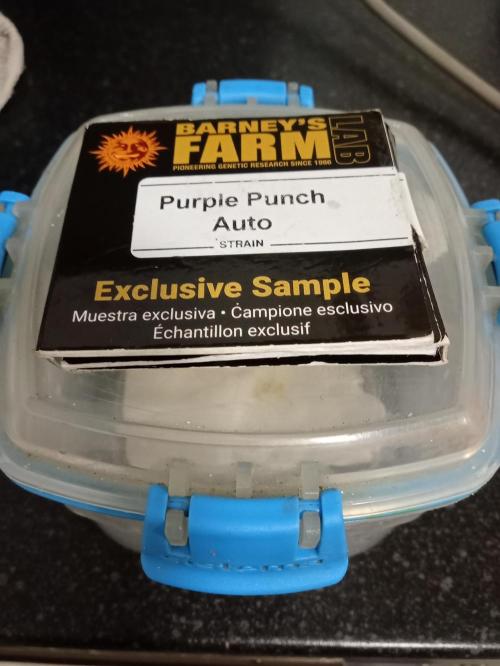 Yr Begins. Week 0 -  12 /1/26  just set this off while I get things dialled in