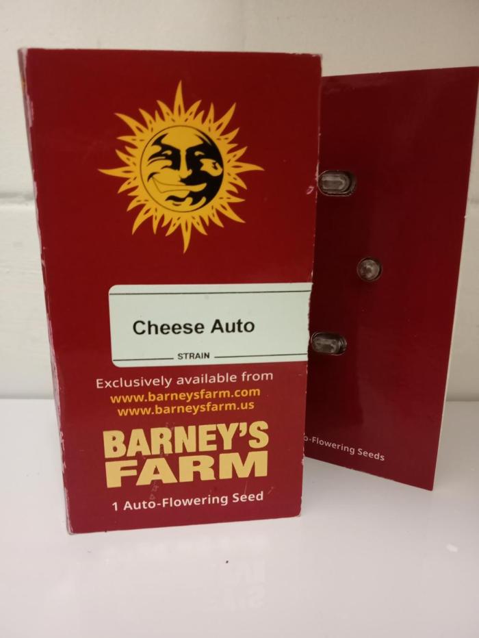 Plenty of cheese  plz. Week 0 - More photos coming just put in paper towel for germanation