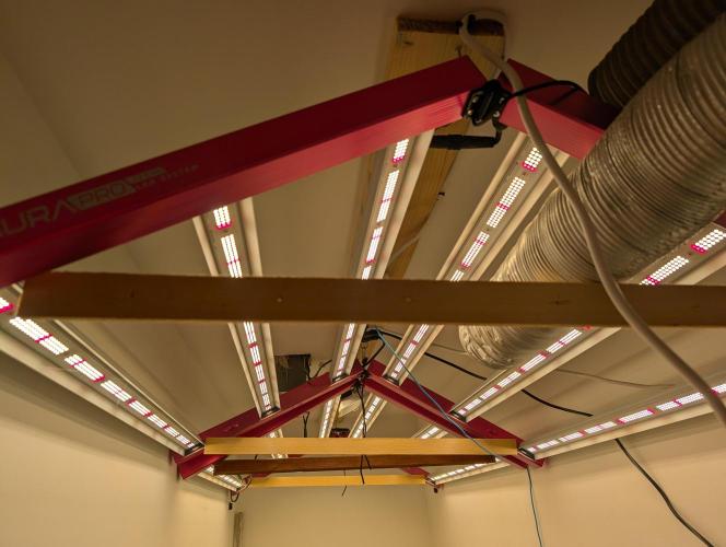 Moje po druheee😁🌱. Week 6 - Inak nevydalo🤣. Ale vsetko rastie,len treba otacat ako na grile🤣