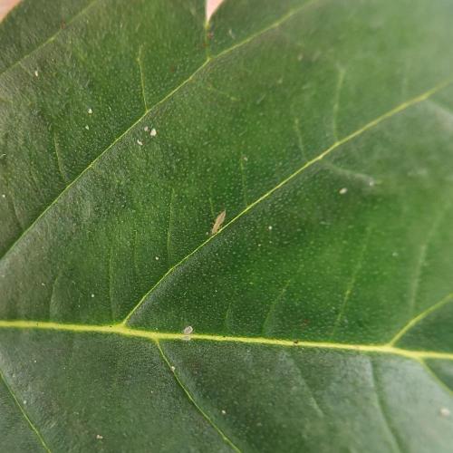 Moje po druheee😁🌱. Week 6 - Vecny boj so strapkami