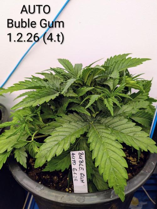 Moje po druheee😁🌱. Week 7