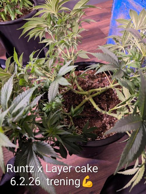 Moje po druheee😁🌱. Week 7