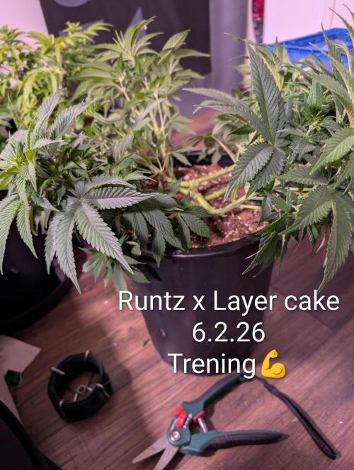 Moje po druheee😁🌱. Week 7