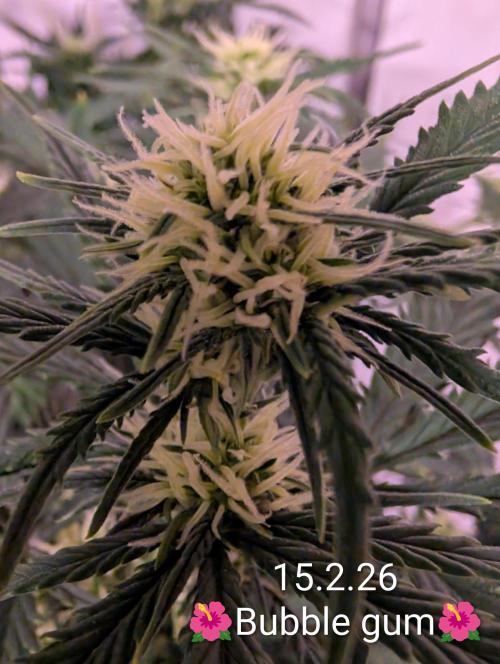 Moje po druheee😁🌱. Week 9