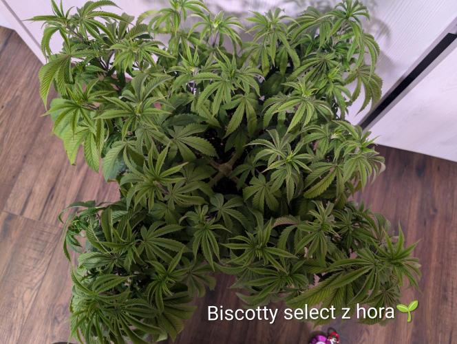 Moje po druheee😁🌱. Week 9