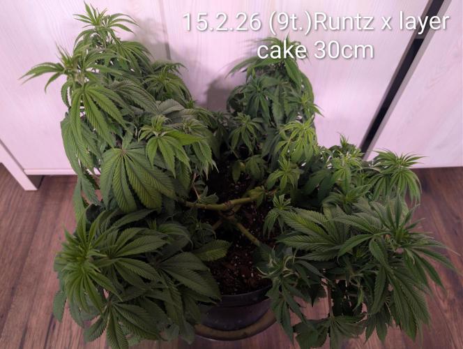 Moje po druheee😁🌱. Week 9