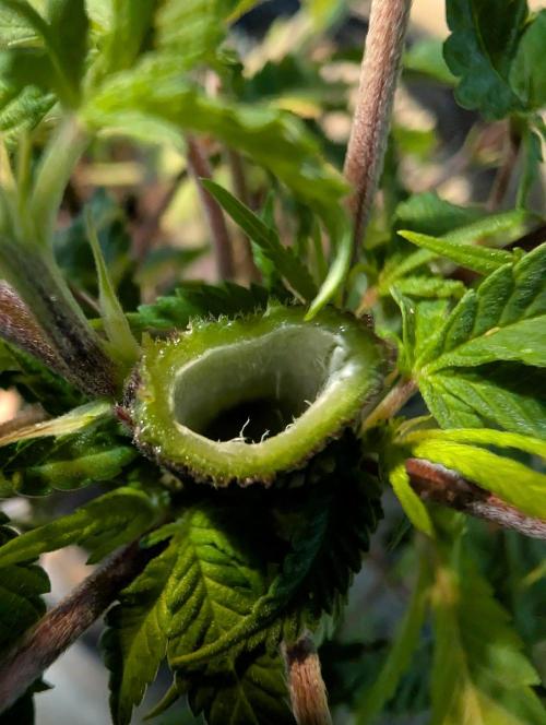 Moje po druheee😁🌱. Week 10