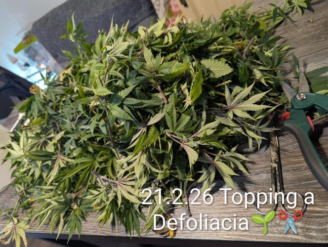 Moje po druheee😁🌱. Week 10 - Andulky si pochutili😁