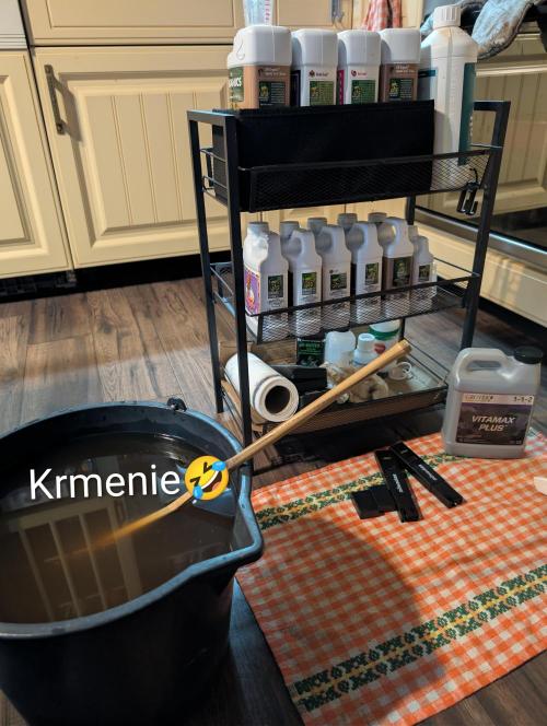 Moje po druheee😁🌱. Week 10