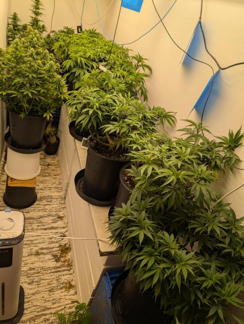 Moje po druheee😁🌱. Week 11