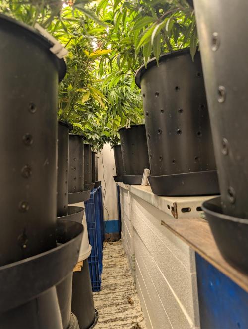 Moje po druheee😁🌱. Week 12