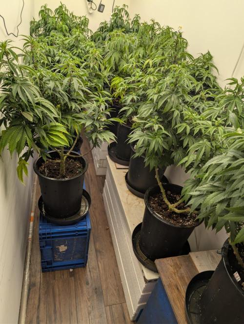 Moje po druheee😁🌱. Week 14 - Jupiiiii
Prepnutie 1212💡