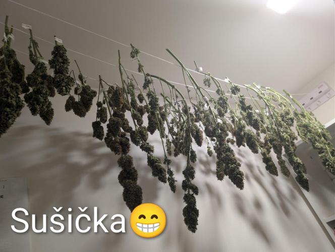 Moje po druheee😁🌱. Week 14