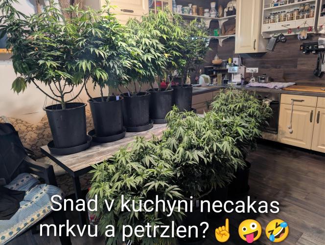 Moje po druheee😁🌱. Week 15