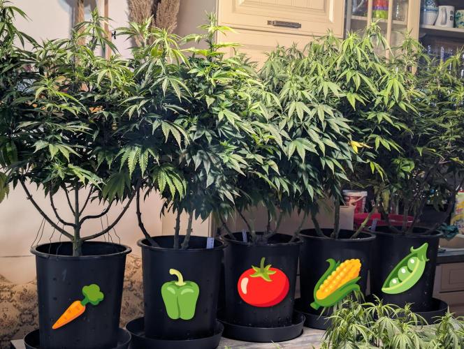 Moje po druheee😁🌱. Week 15