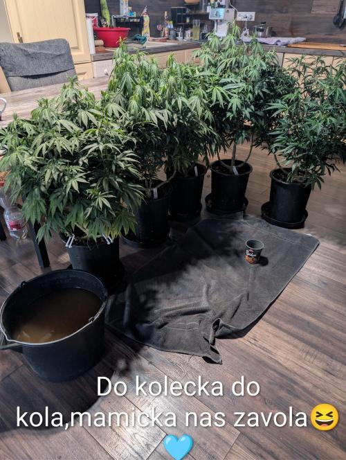 Moje po druheee😁🌱. Week 15