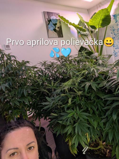 Moje po druheee😁🌱. Week 15