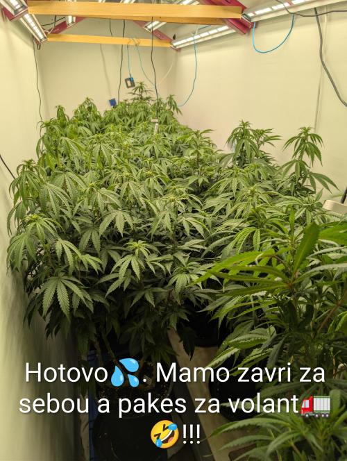 Moje po druheee😁🌱. Week 15