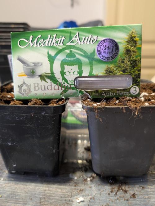 Outdoor 🚗🌞🌱🌱. Week 0