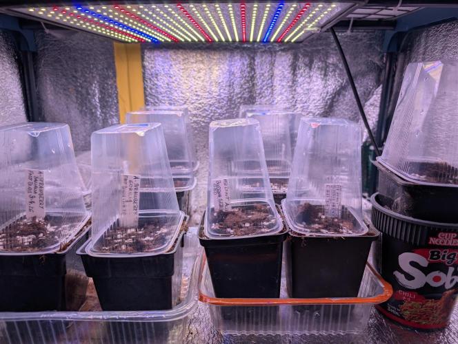 Outdoor 🚗🌞🌱🌱. Week 0