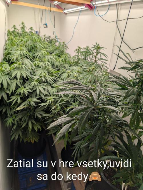Moje po druheee😁🌱. Week 16