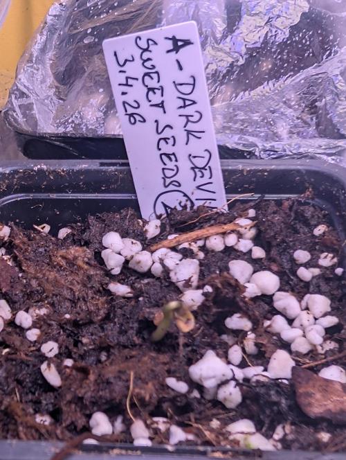 Outdoor 🚗🌞🌱🌱. Week 0