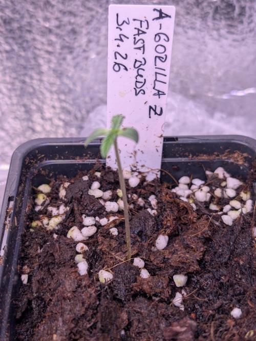 Outdoor 🚗🌞🌱🌱. Week 0