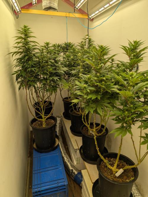 Moje po druheee😁🌱. Week 17