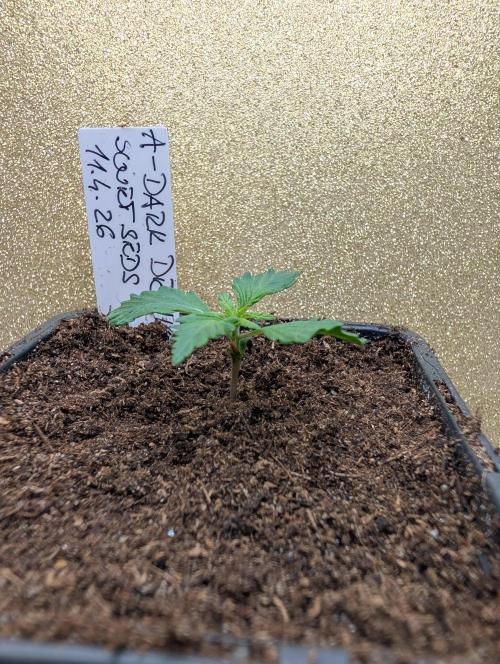 Outdoor 🚗🌞🌱🌱. Week 2