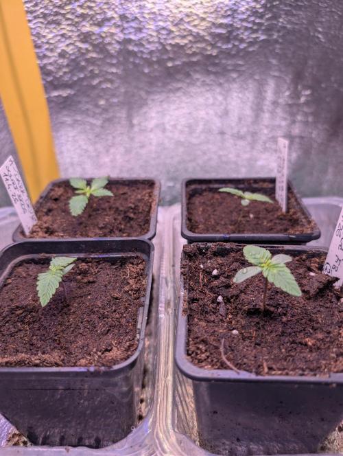 Outdoor 🚗🌞🌱🌱. Week 2